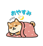 いつも一緒のまるしばフレンズ（個別スタンプ：12）