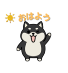 いつも一緒のまるしばフレンズ（個別スタンプ：13）