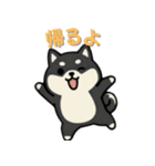 いつも一緒のまるしばフレンズ（個別スタンプ：15）