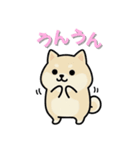 いつも一緒のまるしばフレンズ（個別スタンプ：17）