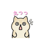 いつも一緒のまるしばフレンズ（個別スタンプ：19）