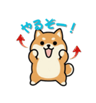 いつも一緒のまるしばフレンズ（個別スタンプ：23）