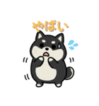 いつも一緒のまるしばフレンズ（個別スタンプ：24）