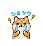 いつも一緒のまるしばフレンズ（個別スタンプ：27）