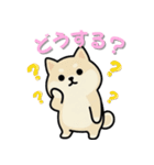 いつも一緒のまるしばフレンズ（個別スタンプ：29）