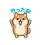 いつも一緒のまるしばフレンズ（個別スタンプ：30）