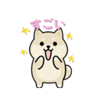 いつも一緒のまるしばフレンズ（個別スタンプ：31）