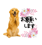 ゴールデンレトリバー★使える♪家族連絡（個別スタンプ：21）