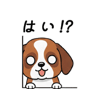 大切な毎日に無難なツヨシくん5（個別スタンプ：12）