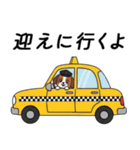 大切な毎日に無難なツヨシくん5（個別スタンプ：19）