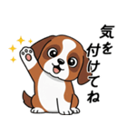 大切な毎日に無難なツヨシくん5（個別スタンプ：33）