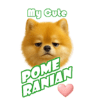 ポメちゃんの癒まくりスタンプ♡（個別スタンプ：2）