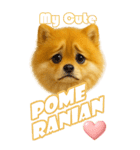 ポメちゃんの癒まくりスタンプ♡（個別スタンプ：4）