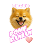 ポメちゃんの癒まくりスタンプ♡（個別スタンプ：5）