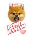 ポメちゃんの癒まくりスタンプ♡（個別スタンプ：6）