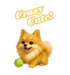 ポメちゃんの癒まくりスタンプ♡（個別スタンプ：9）
