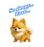 ポメちゃんの癒まくりスタンプ♡（個別スタンプ：16）