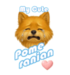 ポメちゃんの癒まくりスタンプ♡（個別スタンプ：23）