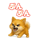 ポメちゃんの癒まくりスタンプ♡（個別スタンプ：31）