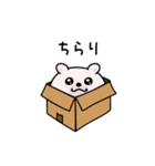 くまちゅーんゆるっと敬語（個別スタンプ：31）