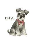 シュナウザー好きな人のための日常スタンプ（個別スタンプ：2）