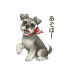 シュナウザー好きな人のための日常スタンプ（個別スタンプ：4）