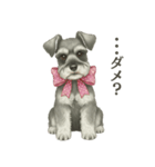 シュナウザー好きな人のための日常スタンプ（個別スタンプ：5）