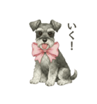 シュナウザー好きな人のための日常スタンプ（個別スタンプ：6）