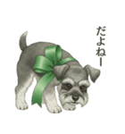 シュナウザー好きな人のための日常スタンプ（個別スタンプ：8）