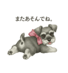 シュナウザー好きな人のための日常スタンプ（個別スタンプ：9）