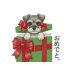 シュナウザー好きな人のための日常スタンプ（個別スタンプ：11）