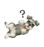 シュナウザー好きな人のための日常スタンプ（個別スタンプ：12）