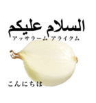 国産玉ねぎ【アラビア語】2（個別スタンプ：1）