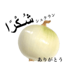国産玉ねぎ【アラビア語】2（個別スタンプ：2）