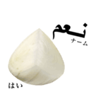 国産玉ねぎ【アラビア語】2（個別スタンプ：4）