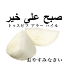 国産玉ねぎ【アラビア語】2（個別スタンプ：8）