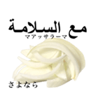 国産玉ねぎ【アラビア語】2（個別スタンプ：9）