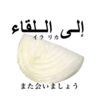 国産玉ねぎ【アラビア語】2（個別スタンプ：10）