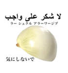 国産玉ねぎ【アラビア語】2（個別スタンプ：11）