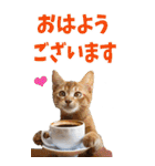 でか文字☆にゃんこ（個別スタンプ：1）