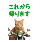 でか文字☆にゃんこ（個別スタンプ：10）