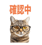 でか文字☆にゃんこ（個別スタンプ：15）