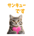 でか文字☆にゃんこ（個別スタンプ：18）