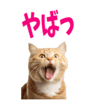 でか文字☆にゃんこ（個別スタンプ：32）