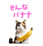 でか文字☆にゃんこ（個別スタンプ：36）