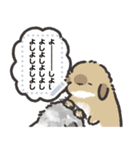 うさのメッセージスタンプ3（個別スタンプ：2）