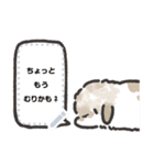 うさのメッセージスタンプ3（個別スタンプ：5）