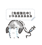 うさのメッセージスタンプ3（個別スタンプ：7）