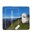 うさのメッセージスタンプ3（個別スタンプ：15）