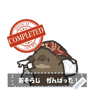 うさのメッセージスタンプ3（個別スタンプ：19）